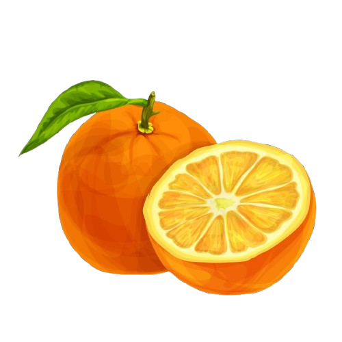 Intro image