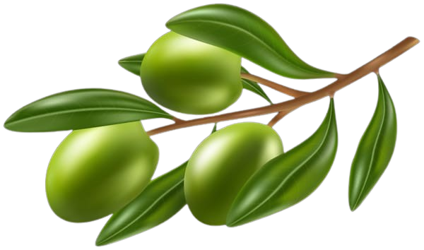 Intro image